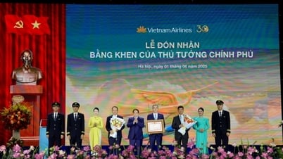 ベトナム航空、創立30周年を記念して首相功労賞を受賞