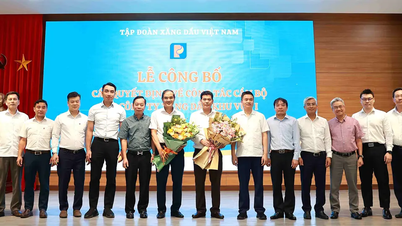 HĐQT Petrolimex công bố các quyết định về công tác cán bộ tại Petrolimex Hà Nội
