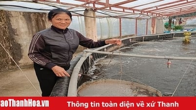 “Chắp cánh” cho những ý tưởng, dự án khởi nghiệp do phụ nữ làm chủ