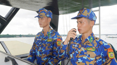Vững vàng bám biển