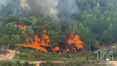 Băn khoăn chuyện chữa cháy rừng