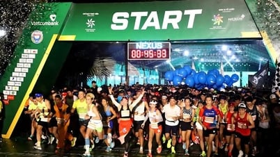 Giải Marathon Quốc tế Hậu Giang 2025: Cơ hội vàng quảng bá văn hóa, du lịch địa phương