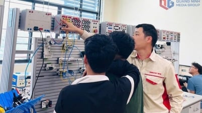 Đào tạo nguồn nhân lực chất lượng cao