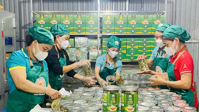 ការកសាងផលិតផលសំខាន់ៗ បង្កើតសន្ទុះសម្រាប់កសិកម្មទំនិញ - ផ្នែកទី 2