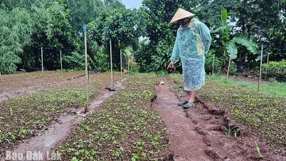 Cần đẩy nhanh tiến độ Dự án Khu tái định cư thôn 1, xã Hòa Thắng