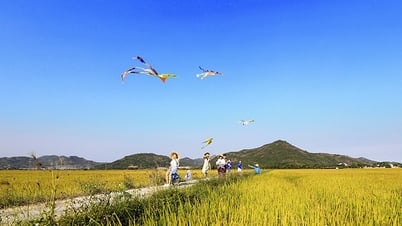 kite flying high