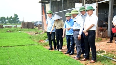 Phó Chủ tịch UBND tỉnh kiểm tra tình hình hoạt động của một số hợp tác xã