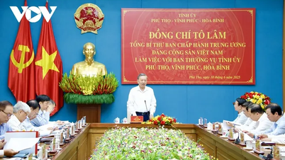 Tổng Bí thư Tô Lâm làm việc với Ban Thường vụ Tỉnh ủy Phú Thọ, Vĩnh Phúc, Hòa Bình