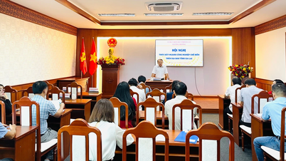 Phấn đấu tốc độ tăng trưởng ngành công nghiệp Gia Lai đạt 10,9%