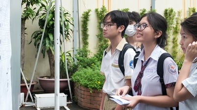 Antworten auf Prüfungsfragen der 10. Klasse an der Gifted High School