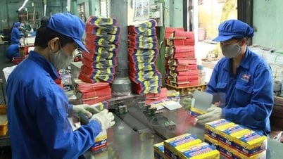 Pin Hà Nội (PHN) sắp tạm ứng cổ tức bằng tiền, tỉ lệ 20%