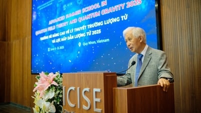 Kết nối tinh hoa khoa học thế giới tại Trường hè ở Việt Nam