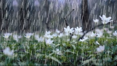 Phía Tây Bắc Bộ mưa nhiều, Trung Bộ trời nắng