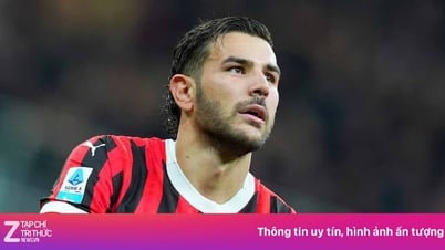 Theo Hernandez từ chối đề nghị khổng lồ ở Saudi Arabia