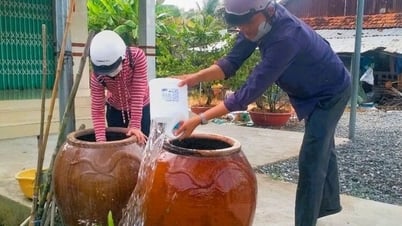 トアイ・ソンは夏と秋の病気を積極的に予防します