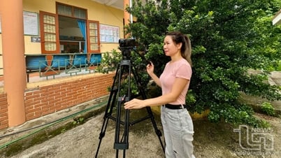 Eligieron el periodismo.