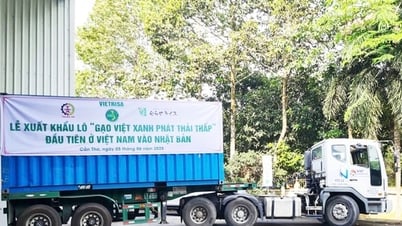 គំនិតបៃតងសម្រាប់ការនាំចេញអង្ករ