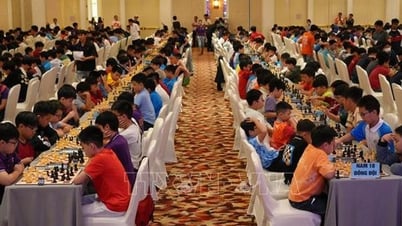 Hơn 1.300 kỳ thủ tranh tài tại Giải vô địch Cờ vua các Câu lạc bộ quốc gia