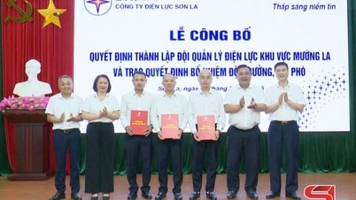 Thành lập Đội quản lý điện lực khu vực Mường La