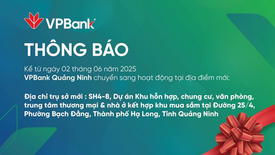 VPBank Quảng Ninh Chuyển Địa Điểm Mới | Trải Nghiệm Hiện Đại