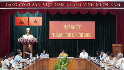 TPHCM triển khai chuẩn bị vận hành thử nghiệm mô hình chính quyền địa phương 2 cấp