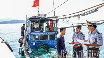 Tăng cường tuần tra, xử lý tàu cá vi phạm