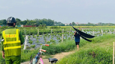 ខ្លែង​បាន​ប្រទះ​ឃើញ​ហោះ ខណៈ​យន្តហោះ​ត្រៀម​ចុះ​ចត​នៅ​អាកាសយានដ្ឋាន​អន្តរជាតិ Noi Bai