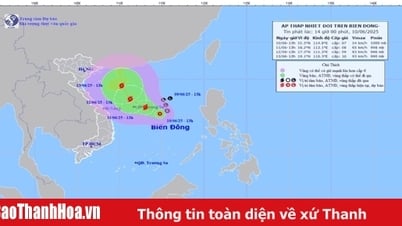 Thanh Hoa ឆ្លើយតបយ៉ាងសកម្មចំពោះទំនាបត្រូពិចនៅសមុទ្រខាងកើត