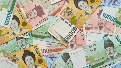 Tỷ giá won Hàn Quốc hôm nay 10/6: Chợ đen giảm nhẹ