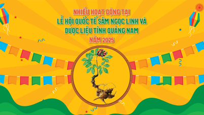 Nhiều hoạt động tại Lễ hội quốc tế Sâm Ngọc Linh và dược liệu tỉnh Quảng Nam năm 2025