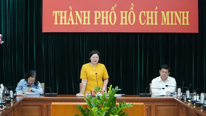 Ngày mai (11-6), TPHCM thử nghiệm mô hình chính quyền địa phương 2 cấp tại quận Tân Bình