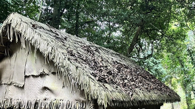 Zeitung mitten im Wald - die Proklamation des Landes