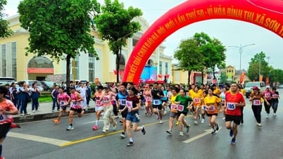 Sơn Tây: Hơn 150 vận động viên tham gia Giải chạy Báo Hànộimới mở rộng lần thứ 50
