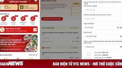 5 bước đơn giản định danh tài khoản trên VNeID cho tổ chức, doanh nghiệp 