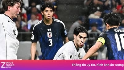 Phản ứng của CĐV Đông Nam Á khi Indonesia thua thảm