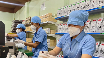 Gia Lai: Tỷ lệ cà phê chế biến đạt hơn 23%