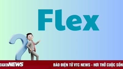 Từ 'Flex' giới trẻ thường xuyên dùng, nhưng ít ai hiểu nghĩa thực là gì