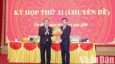 Cao Bằng có tân Chủ tịch Hội đồng nhân dân tỉnh và tân Chủ tịch Ủy ban nhân dân tỉnh