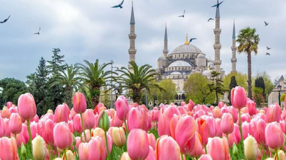 ពិធីបុណ្យ Türkiye Tulip - ស្វែងយល់ពីភាពរុងរឿងនៃនិទាឃរដូវ