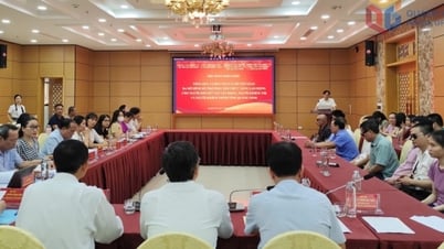 Hội thảo khoa học về tổng kết, lượng giá và chuyển giao 3 mô hình hỗ trợ phục hồi chức năng lao động