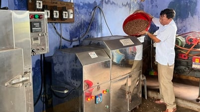 Повышение эффективности цепочек поставок сельскохозяйственной продукции в кооперативах