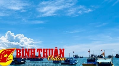 Binh Thuan launches peak campaign against IUU fishing