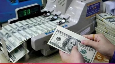 Tỷ giá USD hôm nay 10/6/2025: Đồng USD giảm sau đợt tăng