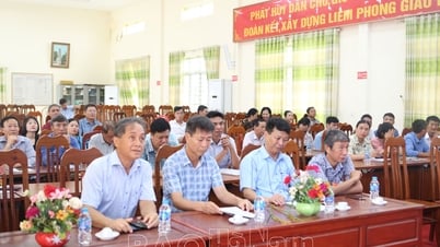 ការវាយតម្លៃប្រសិទ្ធភាពនៃគំរូបង្ហាញស្រូវដោយប្រើជីថ្មី។