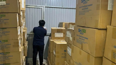 Vụ hàng ngàn sản phẩm thực phẩm chức năng bị đổ bỏ: Được xác định là hàng giả