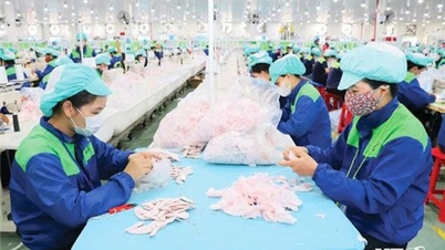 Nhiều điểm sáng trong phát triển kinh tế - xã hội 5 tháng đầu năm