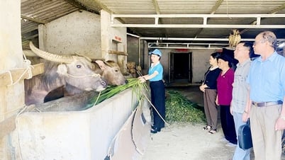 Gần 69.000 gia đình đạt chuẩn “5 không, 3 sạch”