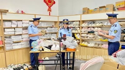 Предотвращение контрабанды товаров и товаров неизвестного происхождения через интернет-бизнес: решительные действия
