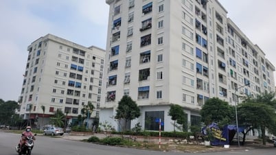 Plus de 126 hectares de terrains alloués à la construction de logements sociaux et de logements ouvriers