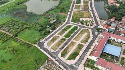 Thường trực Chính phủ yêu cầu xử lý nghiêm hành vi thổi giá, tạo sốt ảo bất động sản